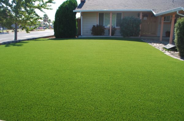 Lawn Artificial grass